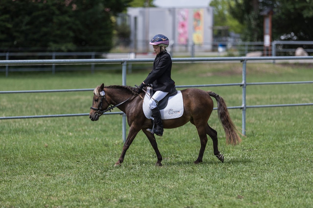 Bild 10 - Pony Akademie Turnier